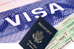 visa (programas)